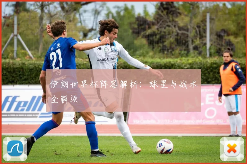 伊朗世界杯阵容解析:球星与战术全解读